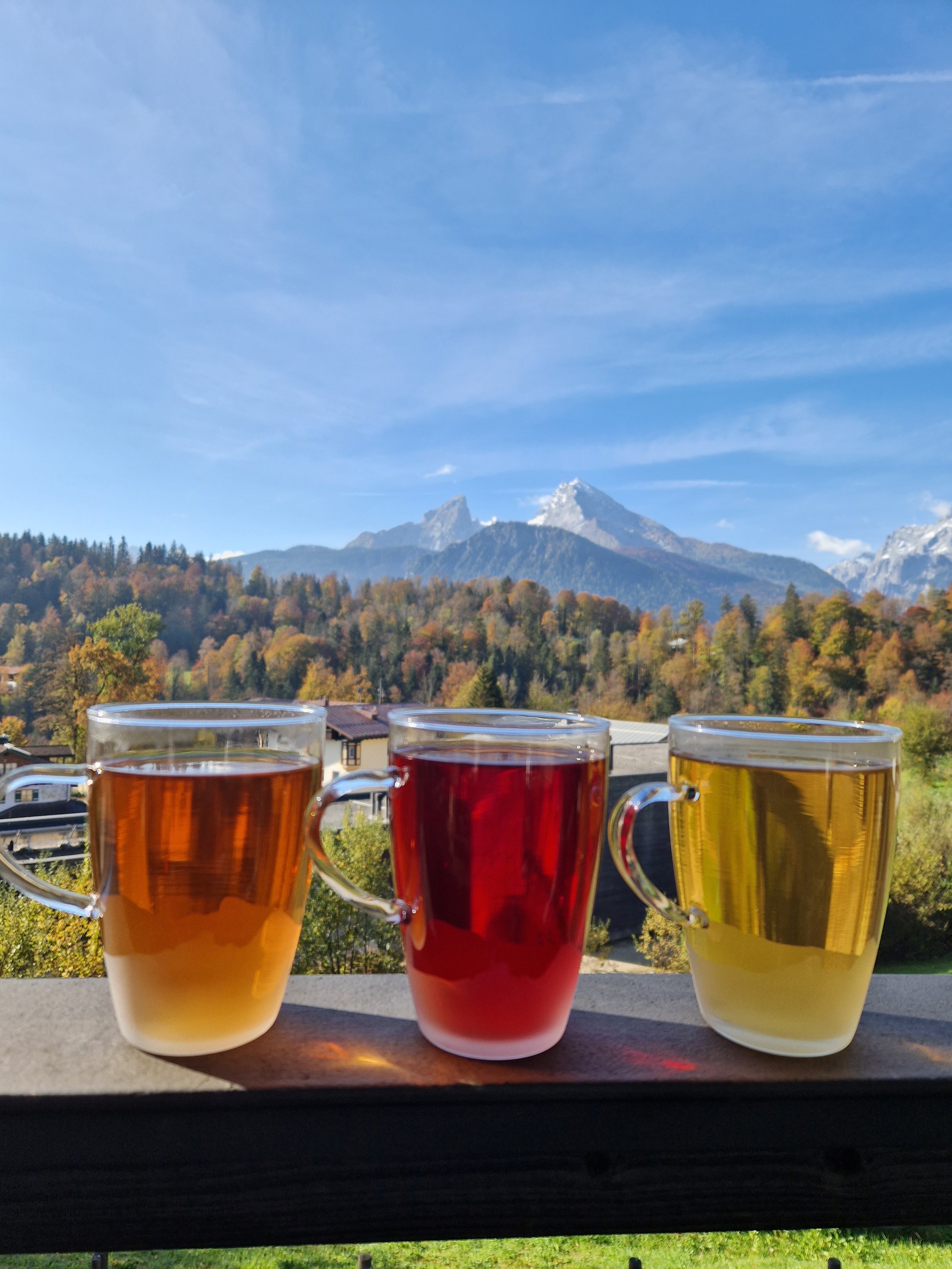 Grüner Watzmann Tee